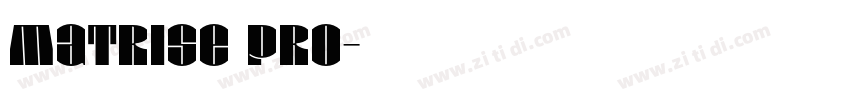 Matrise Pro字体转换